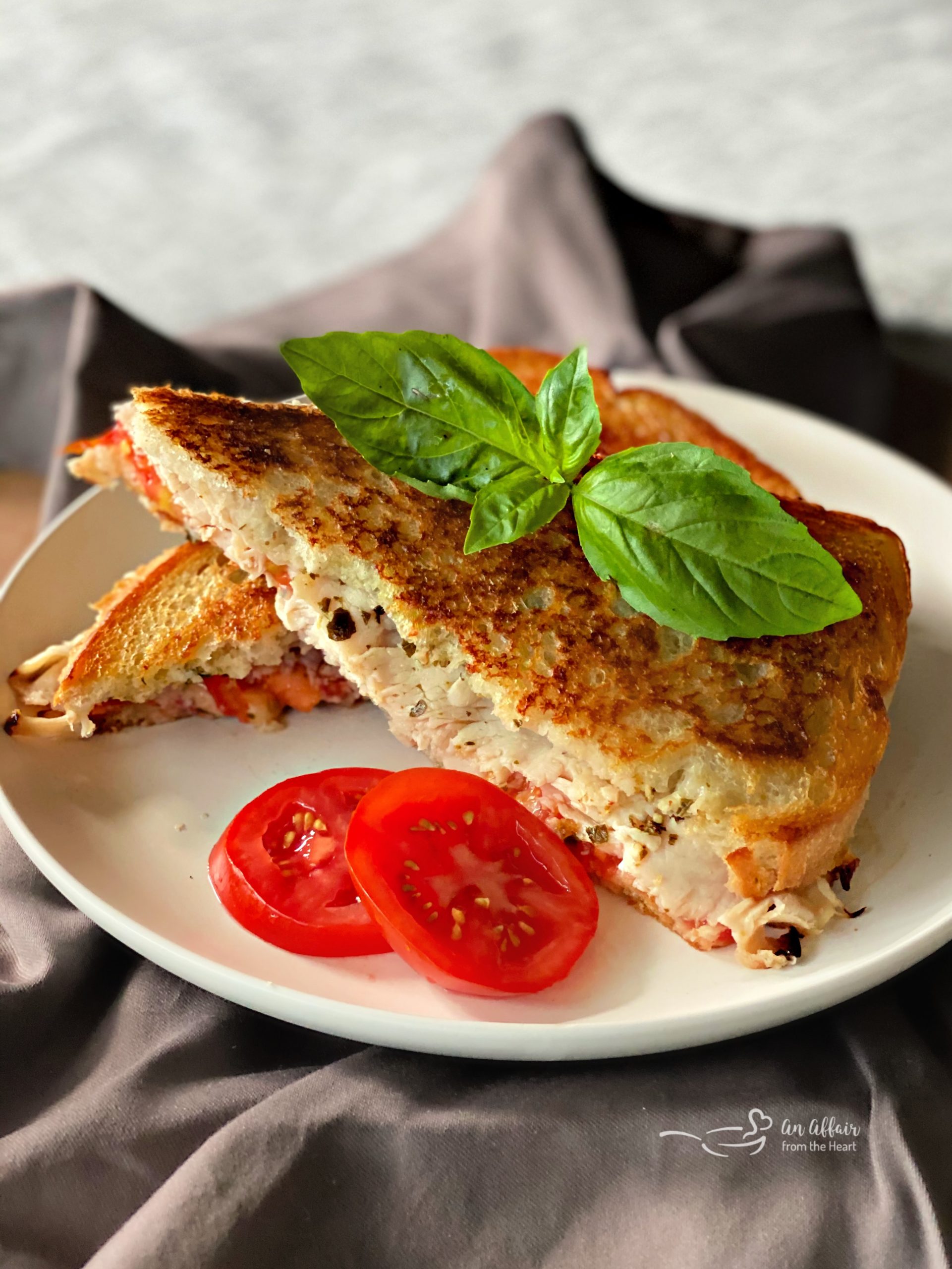Grilled Turkey Havarti Sandwiches white plate